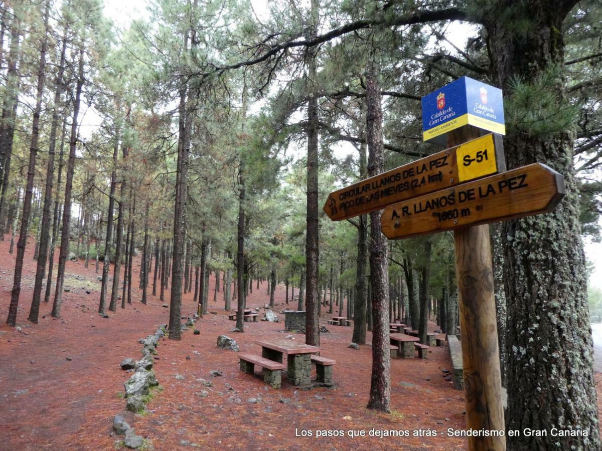 Canarias. Islas Afortunadas Las Palmas de Gran Canárias Exterior foto